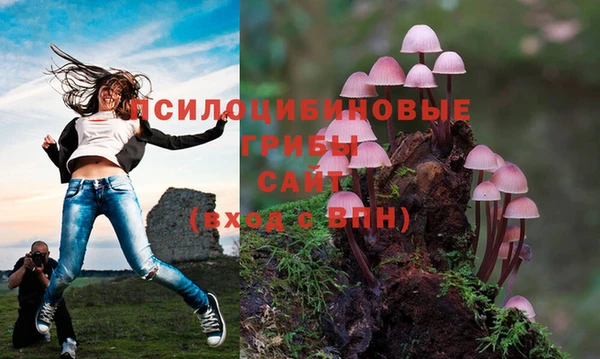 соль ск Верхнеуральск