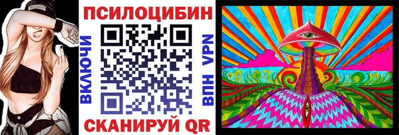 Купить  Сурск  Псилоцибиновые грибы Psilocybine cubensis 