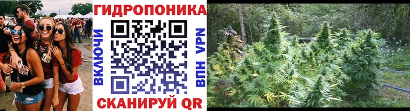 Марихуана ГИДРОПОН  Купить где  Сурск 